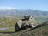 Shahrisabz nach Samarkand: Tahtakaraca-Pass