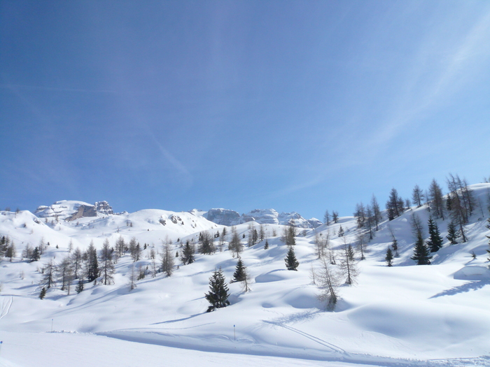 Bild: Madonna di Campiglio