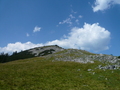 Letztes Stück zum Schneidjoch