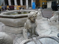 Bergamo, intubierte Sphinx