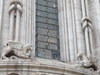 Kathedrale, Fenster mit Greifen und Knoten