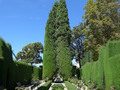 Granada, Garten vor Generalife