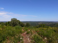 Cerro del Hierro