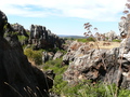 Cerro del Hierro