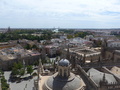 Sevilla, Kathedrale, Blick vom Turm