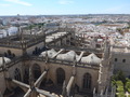 Sevilla, Kathedrale, Blick vom Turm