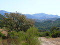 Sierra de Grazalema