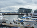 Reykjavik, Hafen, Konzerthalle Harpa