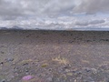 auf dem Weg zur Landmannalaugar