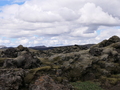 auf dem Weg zum Laki-Krater, Lavafeld