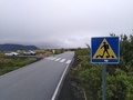 Dingvellir, Zebrastreifen fuer Taucher