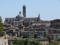 Siena, Dom