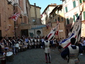 Siena, Contrade des Stachelschweins