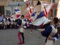 Siena, Contrade des Stachelschweins