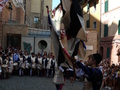 Siena, Contrade des Stachelschweins