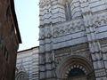 Siena, Dom