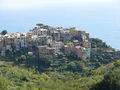 Corniglia