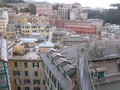 Genua