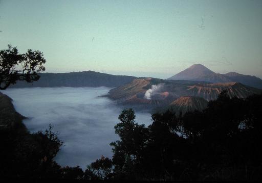 Bromo