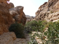 Petra, Wadi al-Mudhlim