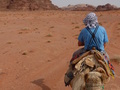 Wadi Rum, Robert