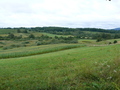 Umgebung der Barać-Höhle