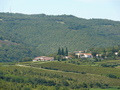 Motovun