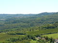 Motovun