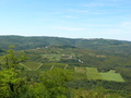 Motovun