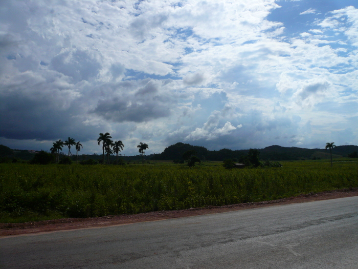 Bild: Vinales, Landschaft