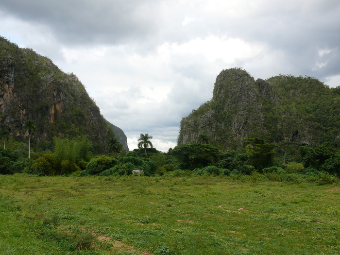 Bild: Vinales, Landschaft