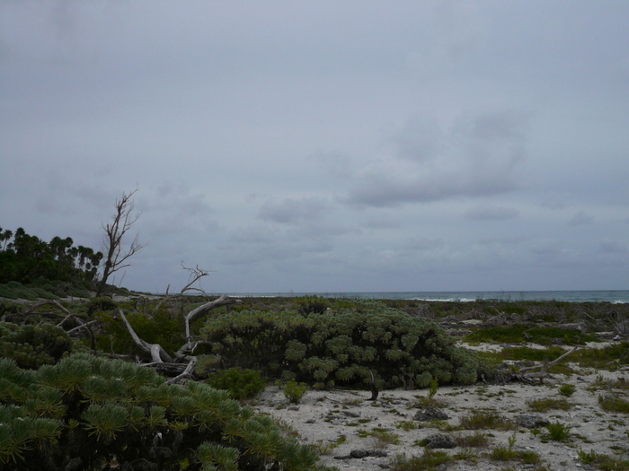 Bild: Cabo San Antonio