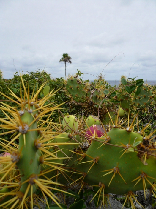 Bild: Cabo San Antonio