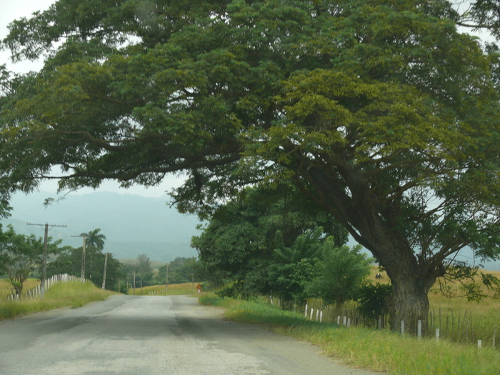 Bild: Unterwegs nach Trinidad