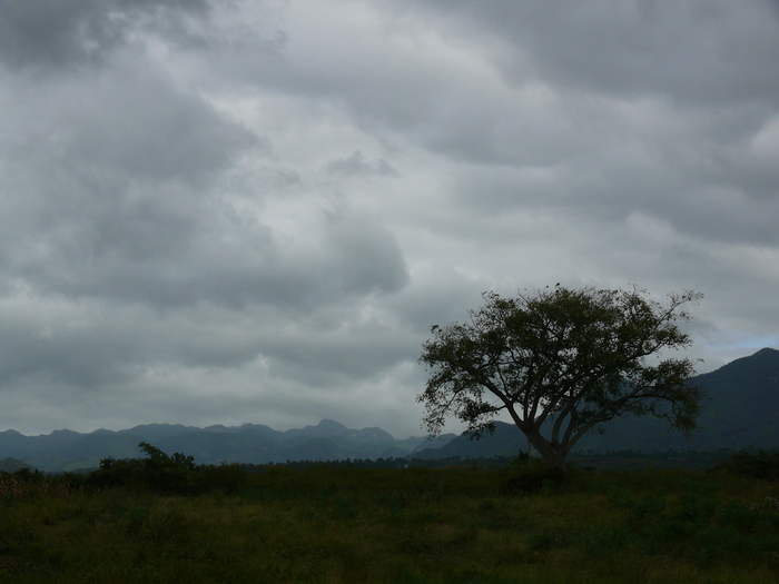 Bild: Unterwegs nach Trinidad