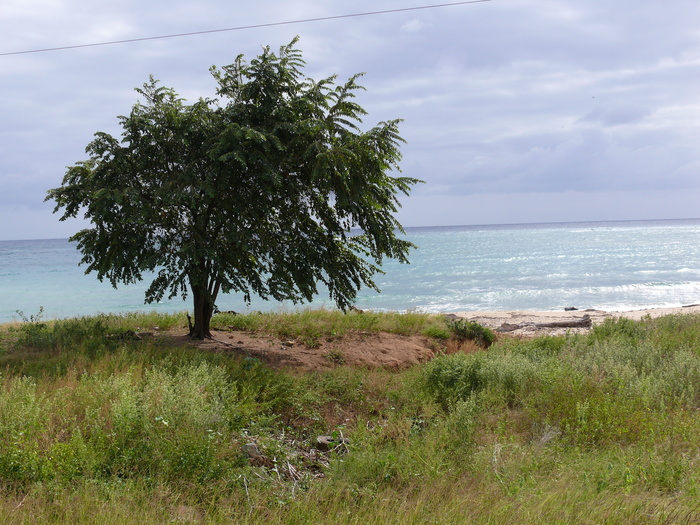 Bild: Unterwegs nach Trinidad