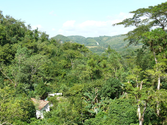 Bild: Sierra del Escambray