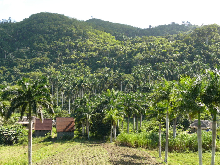 Bild: Sierra del Escambray