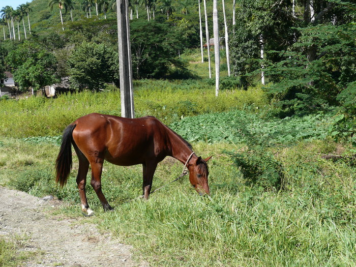 Bild: Sierra del Escambray