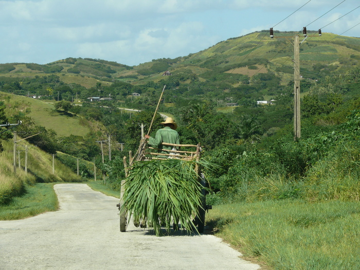 Bild: Sierra del Escambray