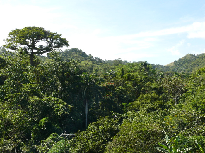 Bild: Sierra del Escambray