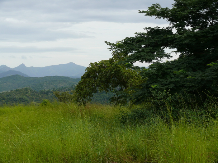 Bild: Unterwegs zur Sierra Maestra