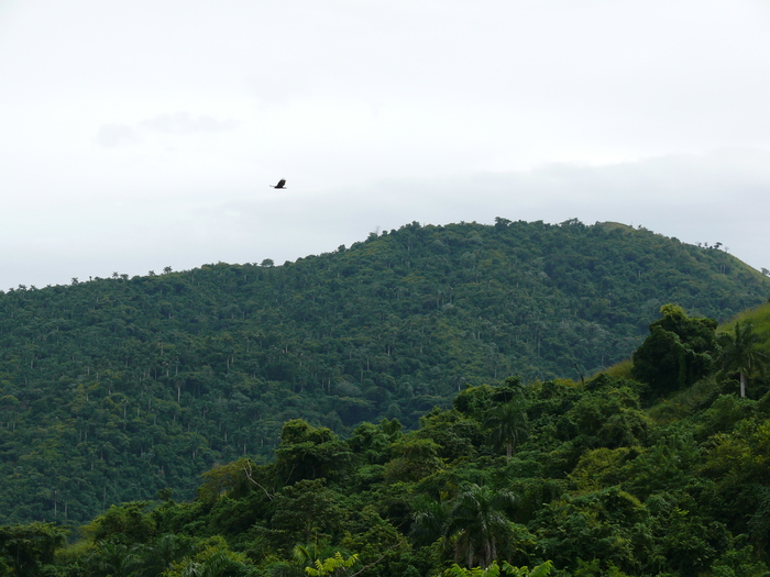 Bild: Sierra Maestra