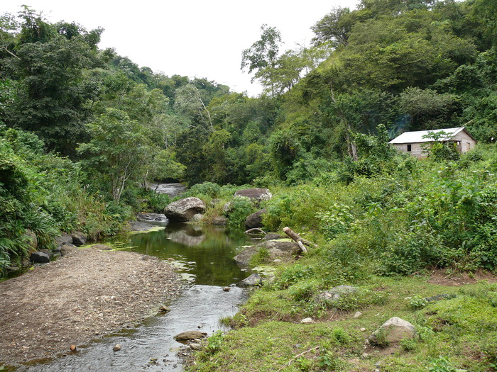 Bild: Sierra Maestra