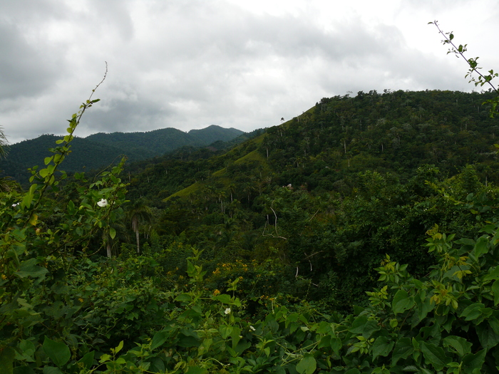 Bild: Sierra Maestra