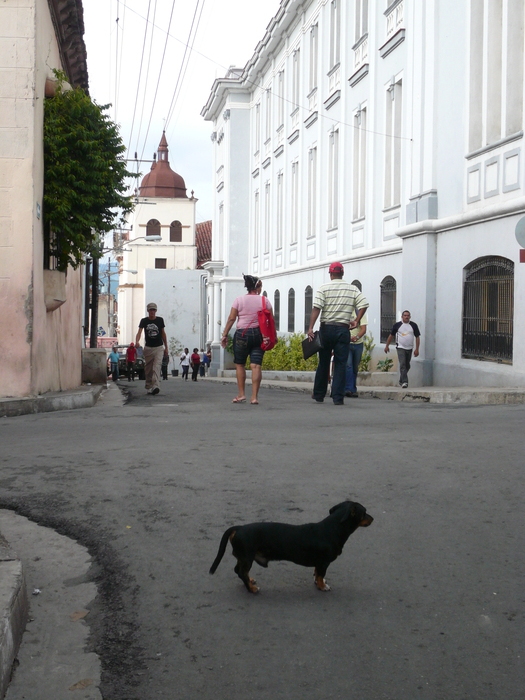 Bild: Santiago, Strassendackel