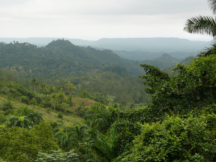 Bild: Baracoa