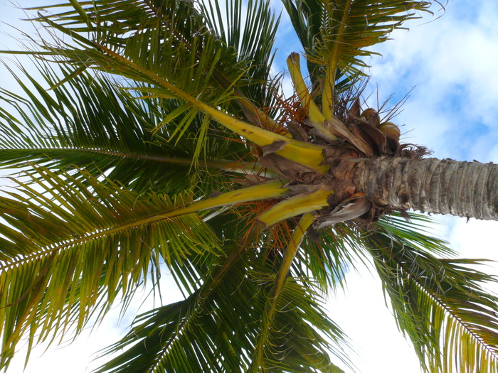 Bild: Guardalavaca, Strand