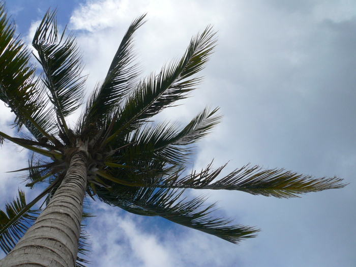 Bild: Guardalavaca, Strand