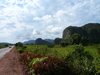  Vinales, Landschaft